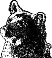 webbear.ch